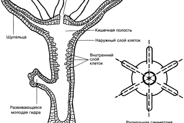 Кракен оф сайт